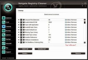 Netgate Registry Cleaner Registered key