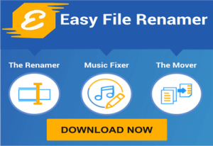 Easy File Renamer activation