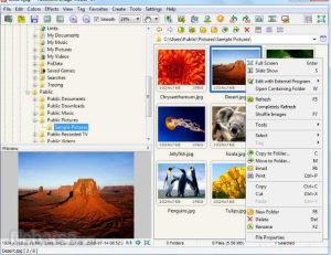 FastStone Image Viewer torrent